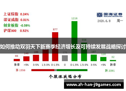 如何推动双羽天下新赛季经济增长及可持续发展战略探讨 如何推动双羽天下新赛季经济增长及可持续发展战略探讨
